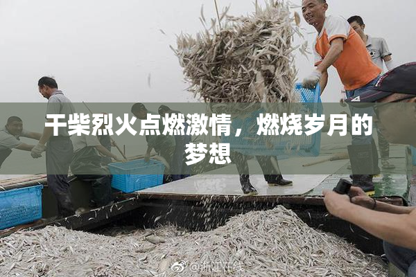 干柴烈火点燃激情，燃烧岁月的梦想
