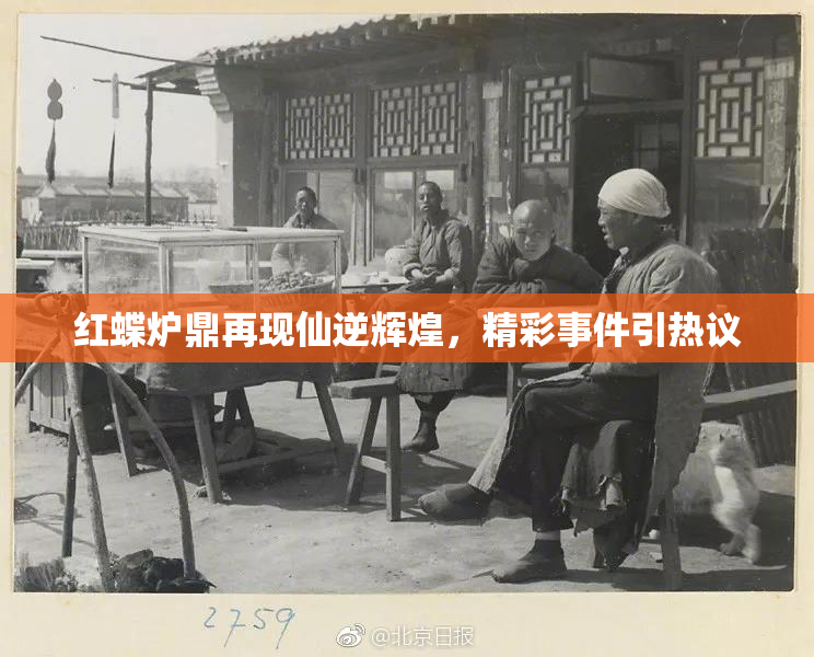 红蝶炉鼎再现仙逆辉煌，精彩事件引热议