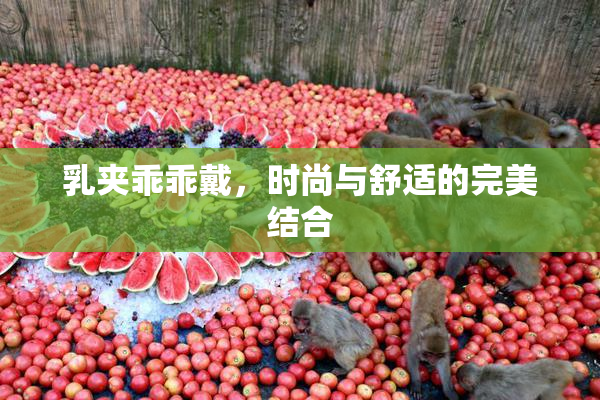 乳夹乖乖戴，时尚与舒适的完美结合