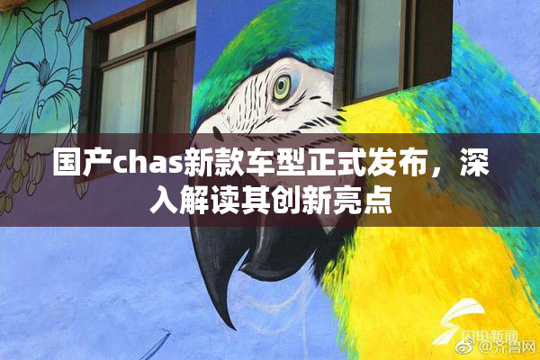 国产chas新款车型正式发布，深入解读其创新亮点