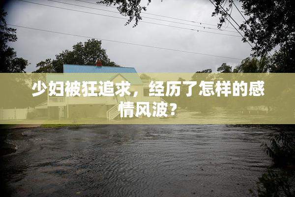 少妇被狂追求，经历了怎样的感情风波？
