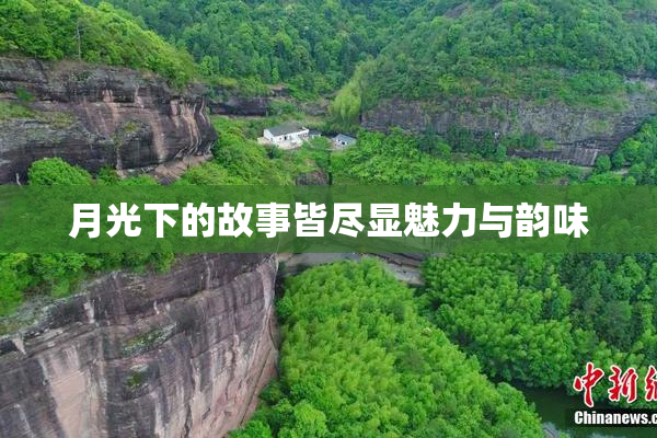 月光下的故事皆尽显魅力与韵味
