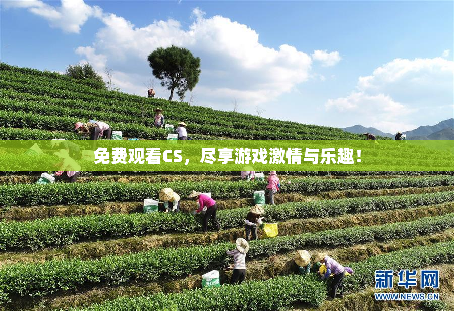 免费观看CS，尽享游戏激情与乐趣！
