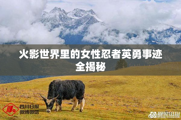火影世界里的女性忍者英勇事迹全揭秘