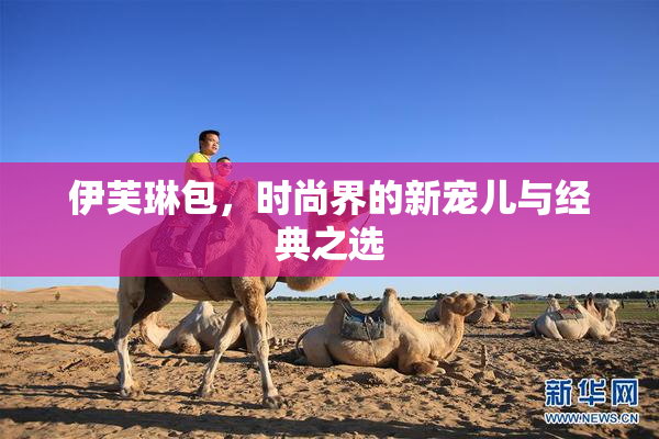 伊芙琳包，时尚界的新宠儿与经典之选