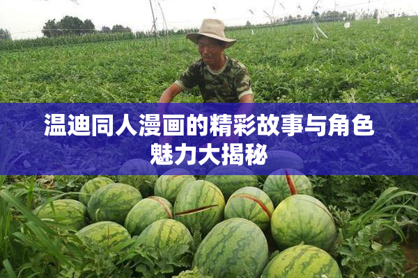 温迪同人漫画的精彩故事与角色魅力大揭秘
