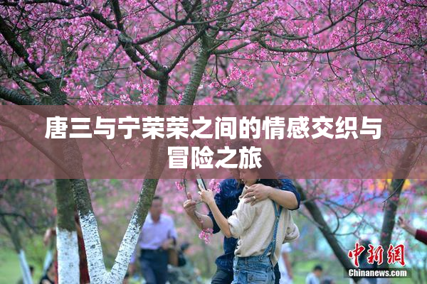 唐三与宁荣荣之间的情感交织与冒险之旅