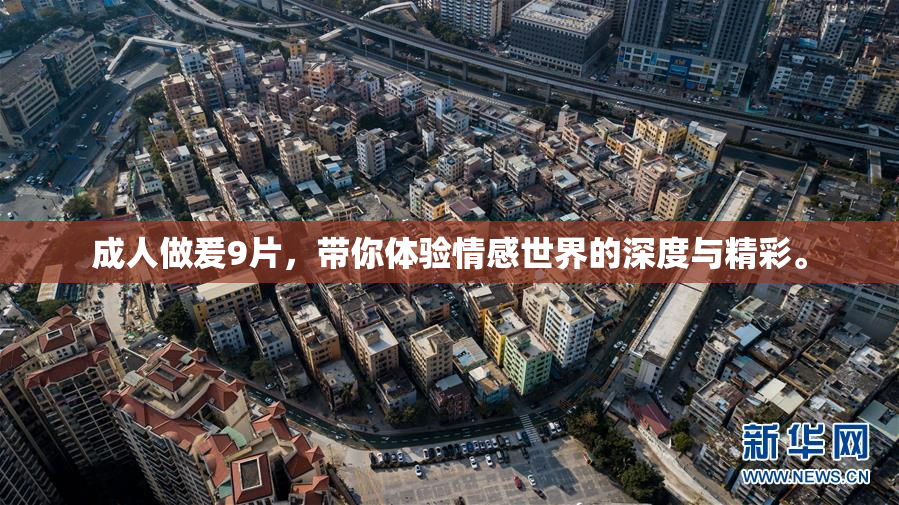成人做爰9片，带你体验情感世界的深度与精彩。