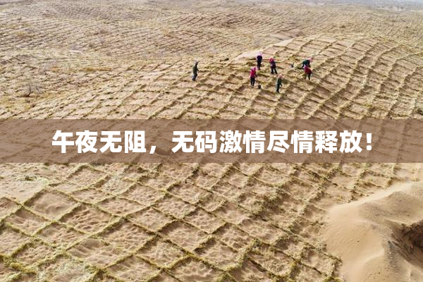 午夜无阻，无码激情尽情释放！