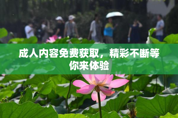 成人内容免费获取，精彩不断等你来体验