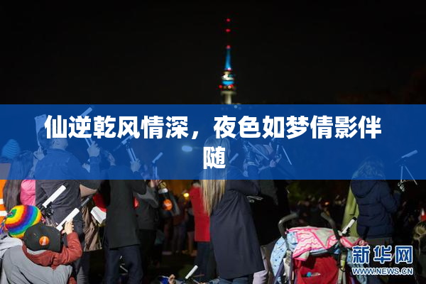 仙逆乾风情深，夜色如梦倩影伴随