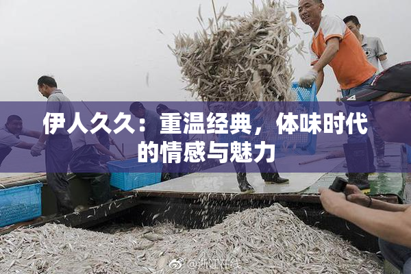 伊人久久：重温经典，体味时代的情感与魅力