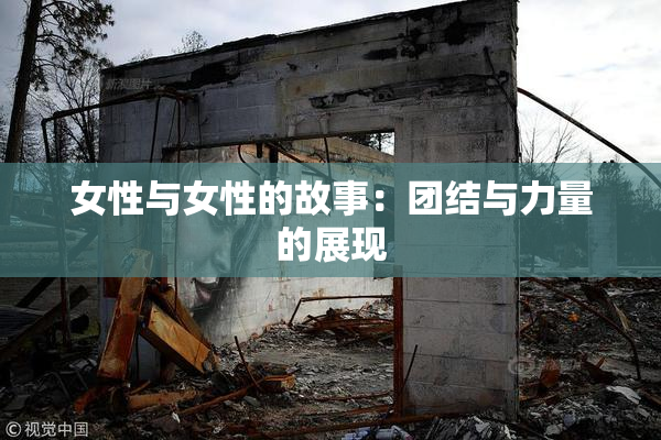 女性与女性的故事：团结与力量的展现