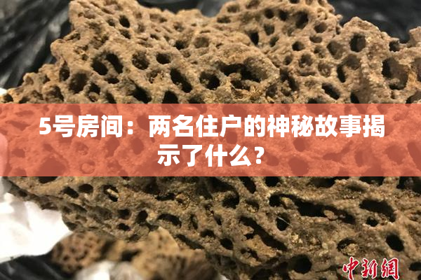 5号房间：两名住户的神秘故事揭示了什么？