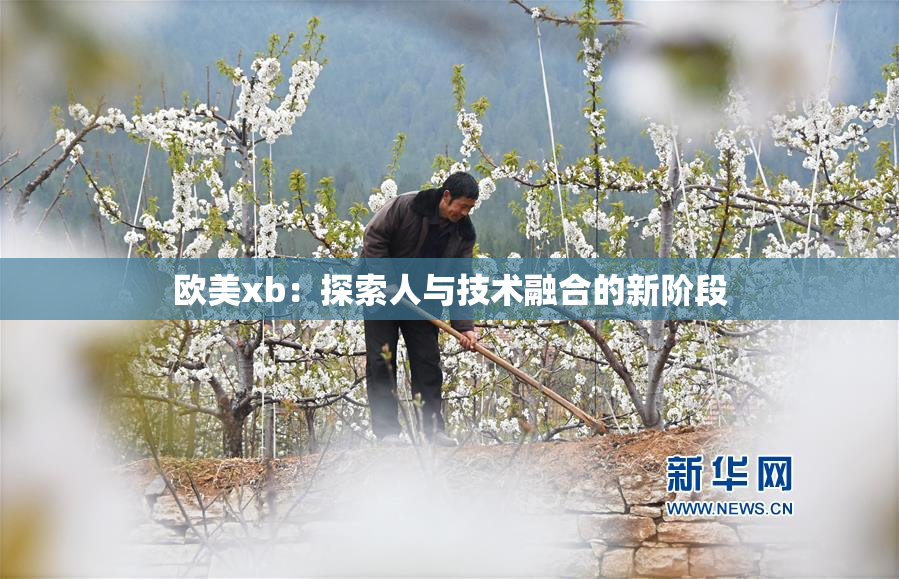 欧美xb：探索人与技术融合的新阶段