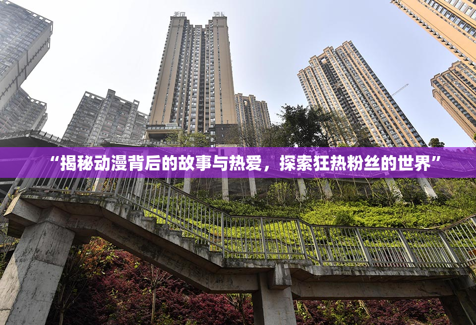 “揭秘动漫背后的故事与热爱，探索狂热粉丝的世界”