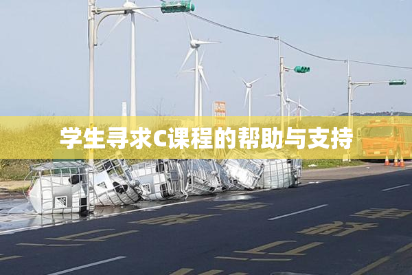 学生寻求C课程的帮助与支持