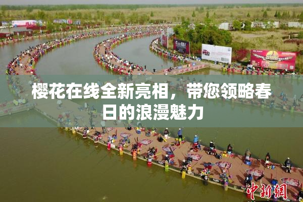 樱花在线全新亮相，带您领略春日的浪漫魅力