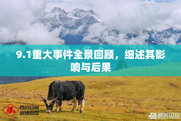 9.1重大事件全景回顾，细述其影响与后果