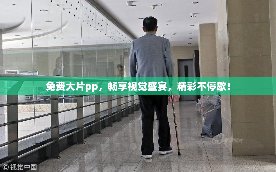 免费大片pp，畅享视觉盛宴，精彩不停歇！