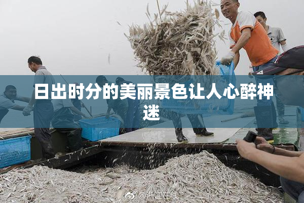 日出时分的美丽景色让人心醉神迷