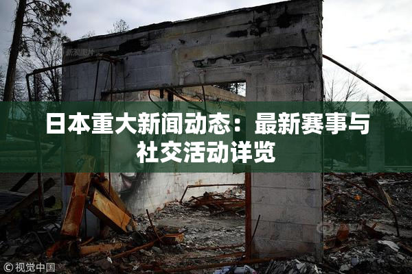 日本重大新闻动态：最新赛事与社交活动详览