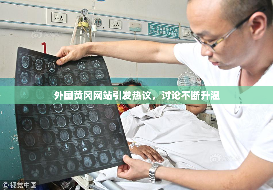 外国黄冈网站引发热议，讨论不断升温