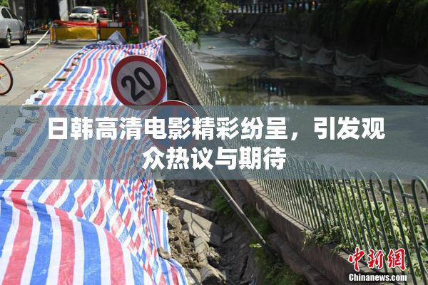 日韩高清电影精彩纷呈，引发观众热议与期待