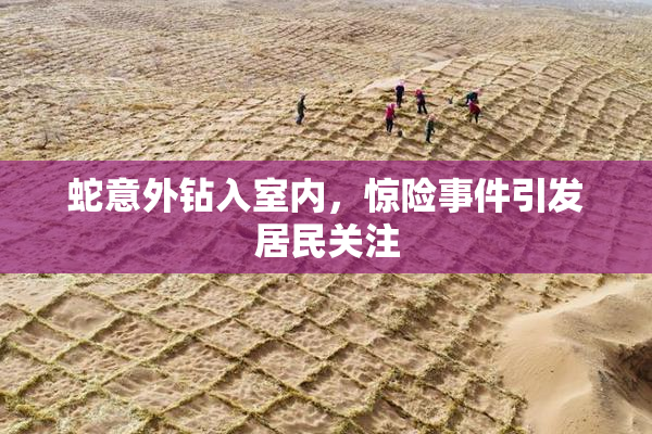 蛇意外钻入室内，惊险事件引发居民关注