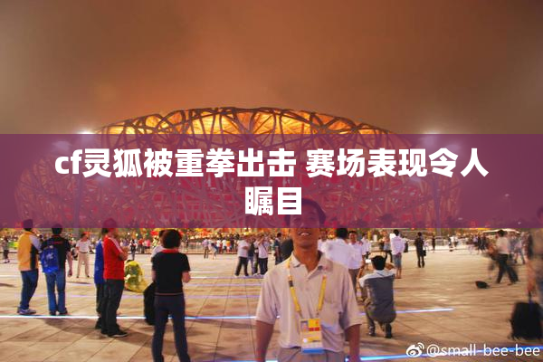 cf灵狐被重拳出击 赛场表现令人瞩目