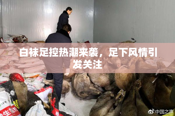 白袜足控热潮来袭，足下风情引发关注