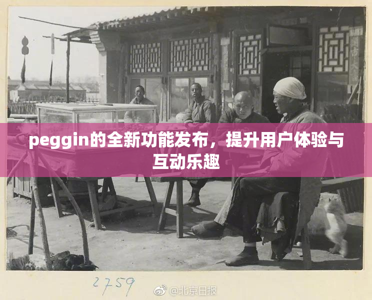 peggin的全新功能发布，提升用户体验与互动乐趣