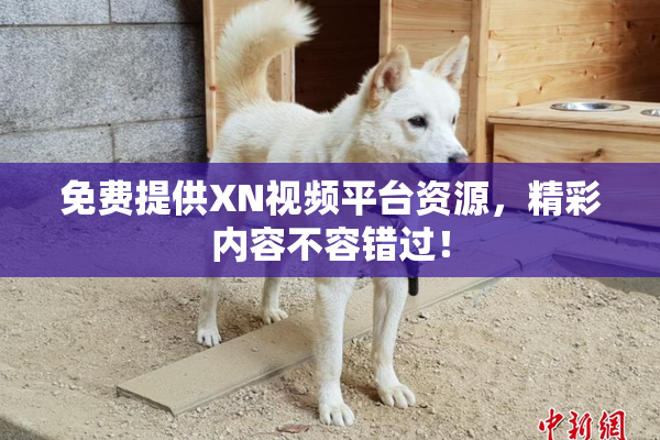 免费提供XN视频平台资源，精彩内容不容错过！