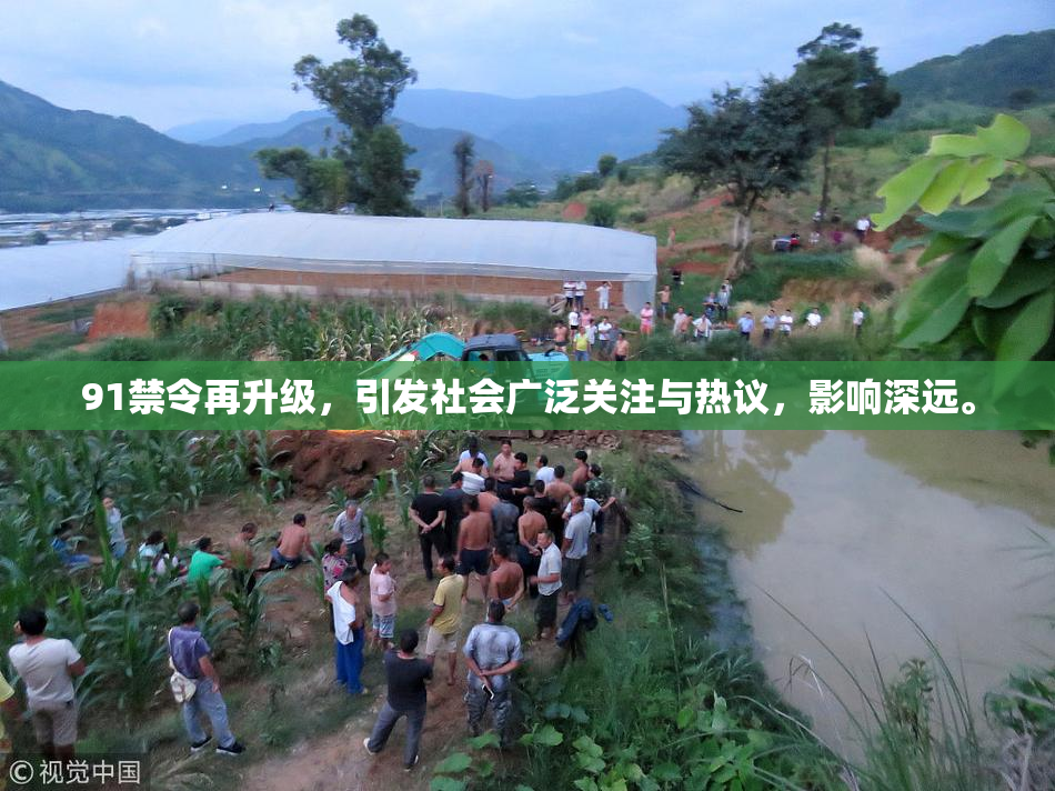 91禁令再升级，引发社会广泛关注与热议，影响深远。