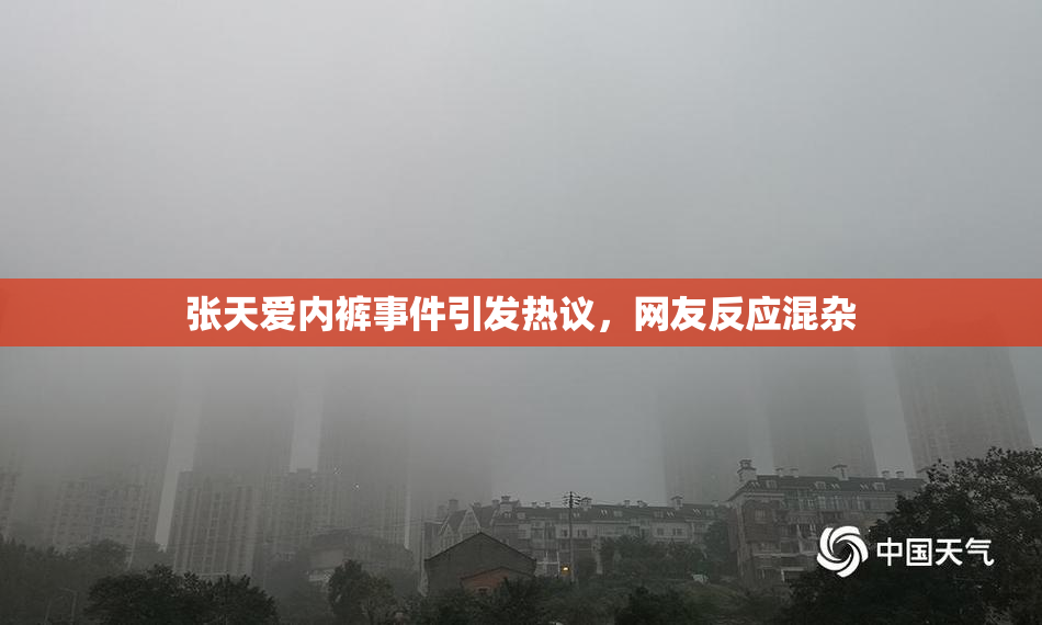 张天爱内裤事件引发热议，网友反应混杂