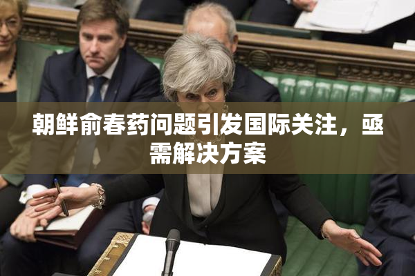 朝鲜俞春药问题引发国际关注，亟需解决方案