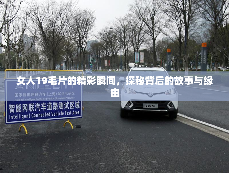 女人19毛片的精彩瞬间，探秘背后的故事与缘由