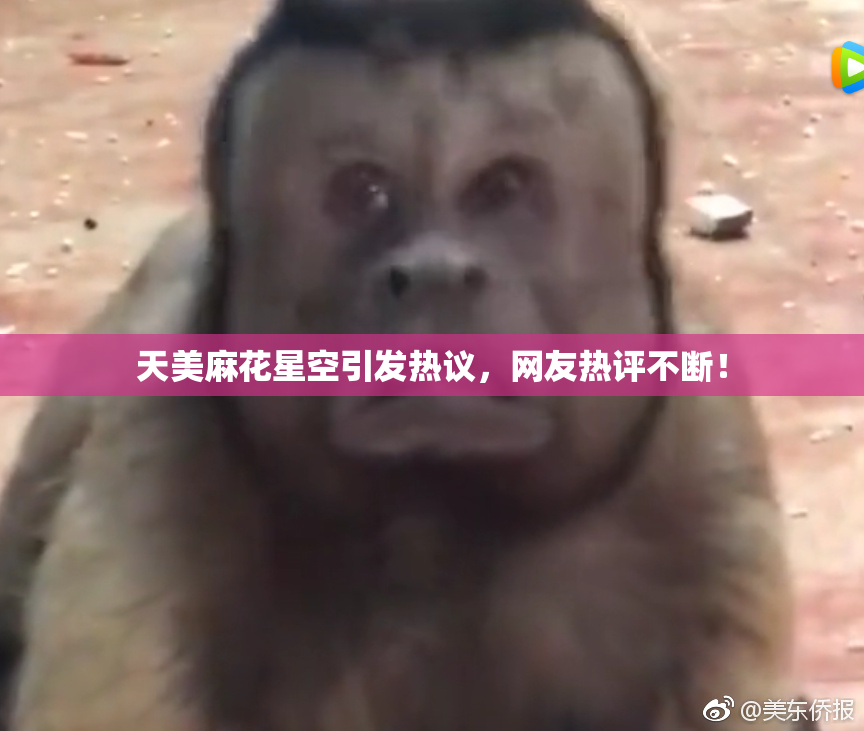 天美麻花星空引发热议，网友热评不断！