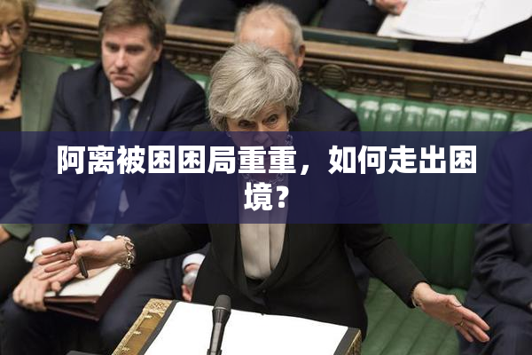 阿离被困困局重重，如何走出困境？
