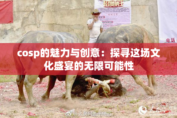 cosp的魅力与创意：探寻这场文化盛宴的无限可能性