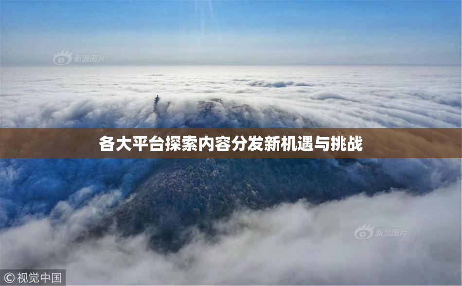 各大平台探索内容分发新机遇与挑战