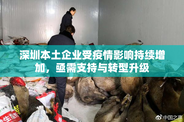 深圳本土企业受疫情影响持续增加，亟需支持与转型升级