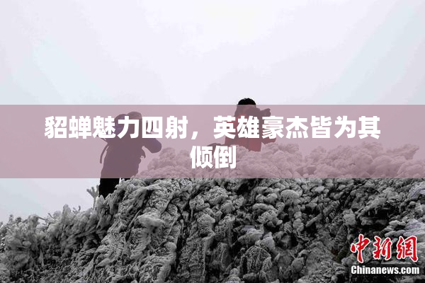 貂蝉魅力四射，英雄豪杰皆为其倾倒