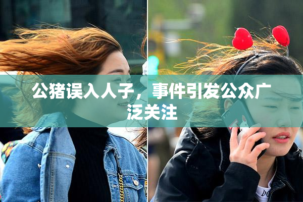 公猪误入人子，事件引发公众广泛关注