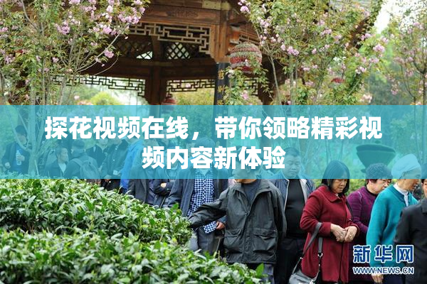探花视频在线，带你领略精彩视频内容新体验