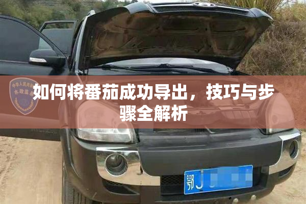 如何将番茄成功导出，技巧与步骤全解析