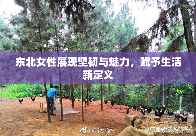 东北女性展现坚韧与魅力，赋予生活新定义