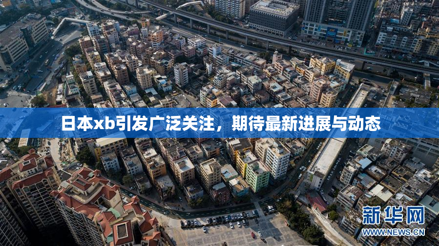 日本xb引发广泛关注，期待最新进展与动态
