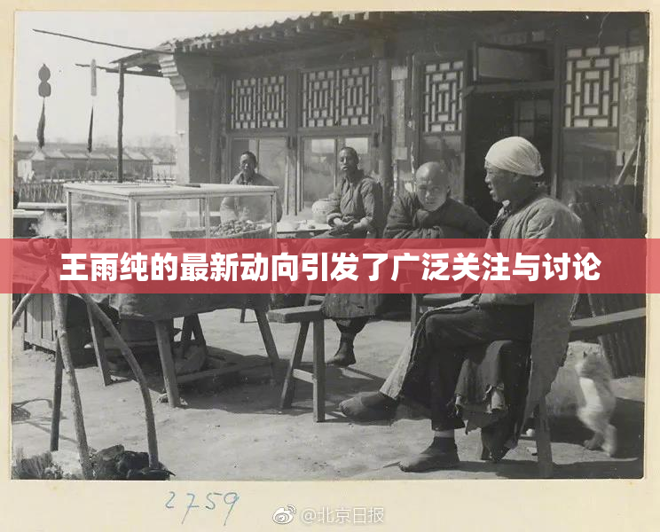 王雨纯的最新动向引发了广泛关注与讨论