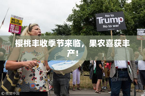 樱桃丰收季节来临，果农喜获丰产！